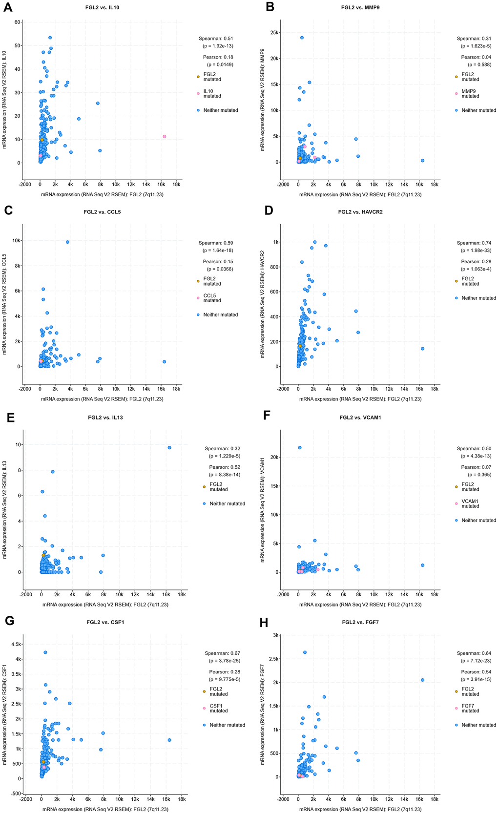 Correlation analysis between cytokine and FGL2 levels in ESCA tissues using cBioPortal. (A–H) Scatterplots depicting the correlations between the levels of FGL2 and IL-10 (A), MMP9 (B), CCL5 (C), TIM-3 (D), IL-13 (E), VCAM1 (F), M-CSF (CSF1) (G) and FGF-7 (H). A Spearman’s P 