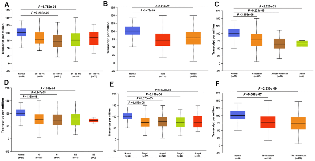 JAK1 transcription in subgroups of patients with LUAD, divided based on gender, age, ethnicity and other clinical features. (A) age. (B) gender. (C) ethnicity. (D) Lymph -node status. (E) Disease stage. (F) TP53 mutation status. Color images are available online.