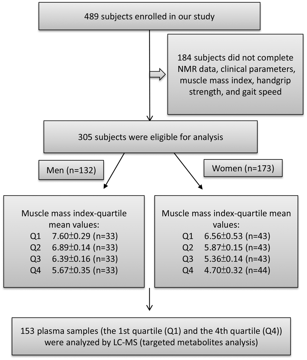 Study flow diagram shows number of participants for untargeted and targeted metabolite analysis. A total of 489 participants enrolled in this study of which 305 subjects were eligible to participate. According to appendicular skeletal muscle mass index (ASMI) values, we divided the male and female subjects into four groups each by quartile. The ASMI values of quartile 1, 2, 3, and 4 (Q1, Q2, Q3, and Q4) were 7.60±0.29, 6.89±0.14, 6.39±0.16, and 5.67±0.35 kg/m2, respectively. In the female group, quartile 1, 2, 3, and 4 (Q1, Q2, Q3, and Q4) ASMI values were: 6.56±0.53, 5.87±0.15, 5.36±0.14, and 4.70±0.32 kg/m2, respectively. The first quartile (Q1) was defined as the control group and the fourth quartile (Q4) as the muscle loss group. Both Q1 and Q4 were performed for metabolite analysis.