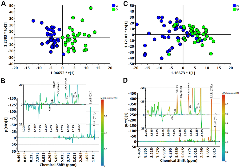 Muscle loss and control group samples analyzed by 1H NMR spectroscopy. (A) Orthogonal partial least-squares discriminant analysis plot (OPLS-DA) of the control (Q1) and muscle loss (Q4) subgroups in men showed considerable separation (R2X = 0.404, R2Y = 0.750, and Q2 = 0.316). (B) Contribution plots of control (Q1) and muscle loss (Q4). (C) OPLS-DA plot of control (Q1) and muscle loss (Q4) subgroups in women showed considerable separation (R2X = 0.362, R2Y = 0.360, and Q2 = 0.00307). (D) Contribution plots of control (Q1) and muscle loss (Q4). The results were revealing amino acid-related metabolites as important discriminators between Q1 and Q4.