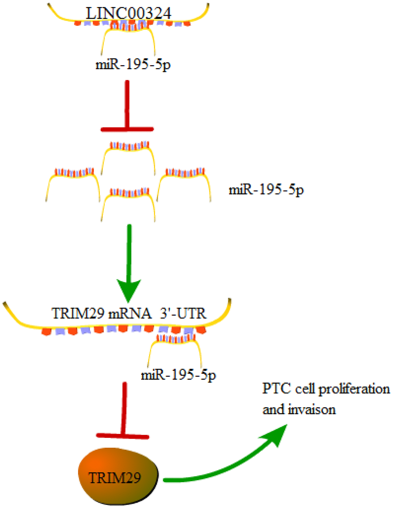 class="figure-viewer-img"