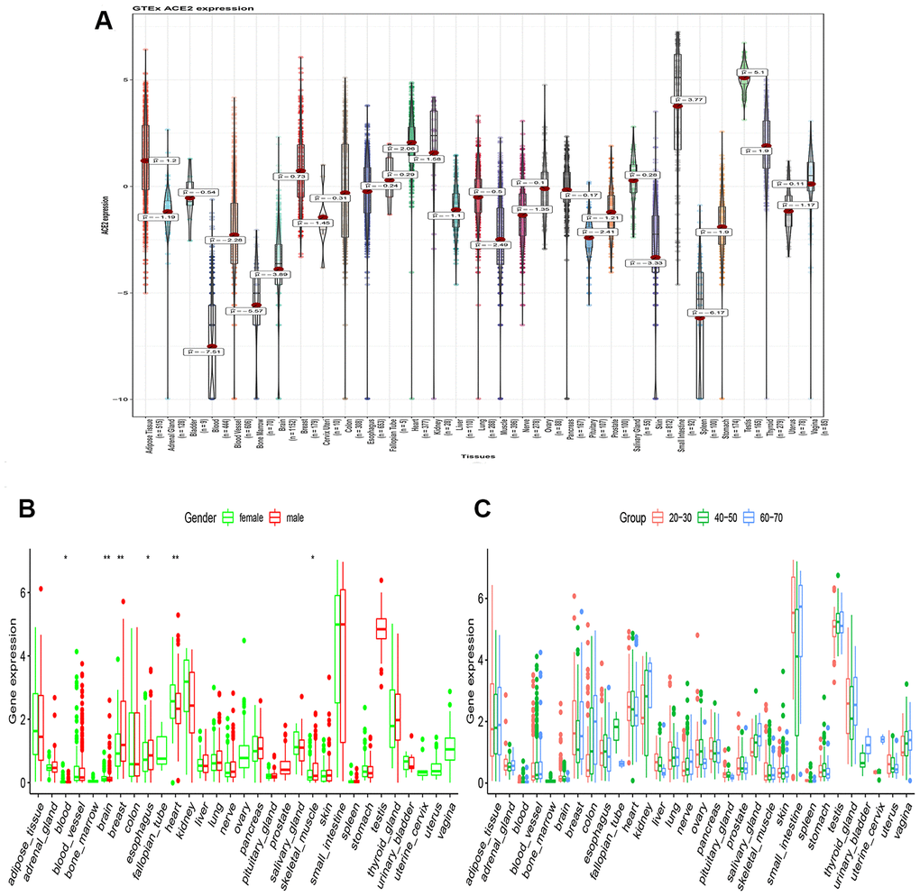 RNA-seq analysis of public GTEx datasets. (A) Violin plot of ACE2 expression in normal tissues, colored by organs, Kruskal–Wallis test was used to examine the difference across organs; (B) Box plot of ACE2 expression exhibits the gender disparity across different organs using Wilcox test; (C) Box plot of ACE2 expression exhibits the difference in different age populations using Kruskal–Wallis test. All P value less than 0.05 was considered statistically significant.