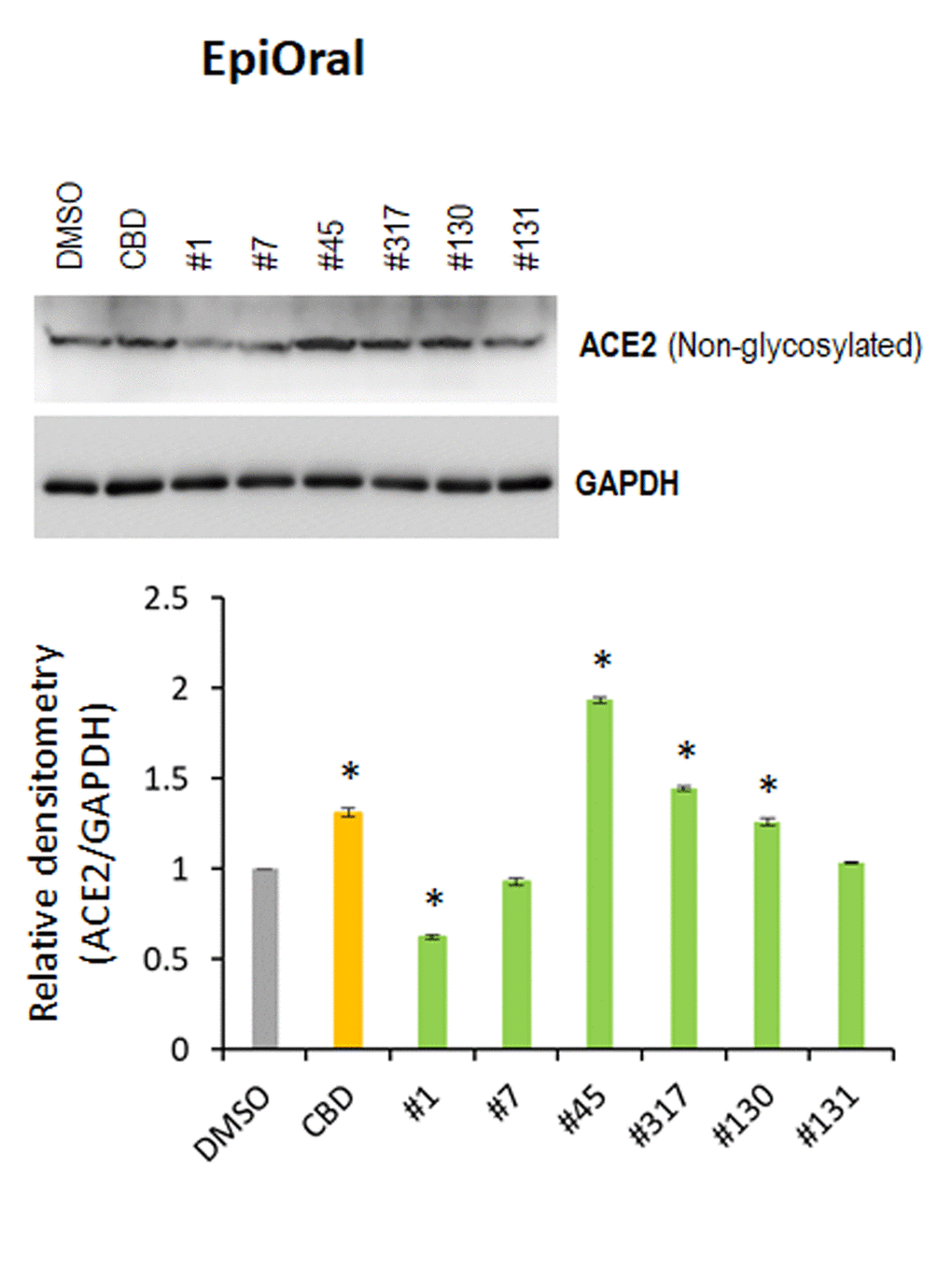 Effects of novel C. sativa extracts on the levels of ACE2 in the normal uninduced EpiOral tissue models. Three tissue samples were used per treatment group. Protein extracts were prepared from each sample, and equal amounts of each sample in each group were pooled together. Each bar is an average (with SD) from three technical repeat measurements. * - p