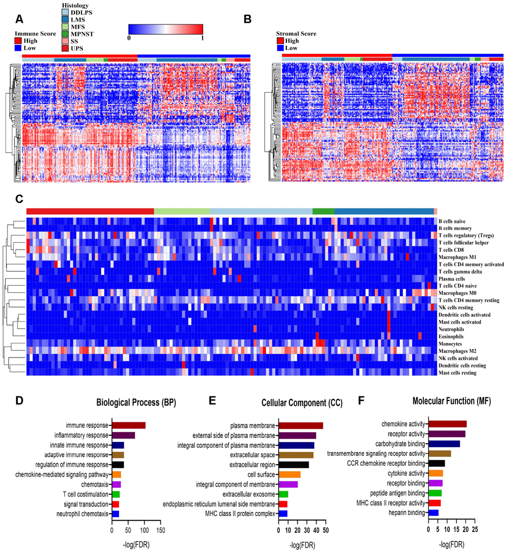 Comparisons of differentially expressed genes (DEGs) with immune scores and stromal scores. (A, B) The 100 top differentially expressed genes of high- and low- immune scores and stromal scores. The cohort was divided into high- and low-score groups based on the median. (C) The proportion of immune cells estimated by the CIBERSORT algorithm with outputs in which PD–F) Enrichment analysis of differentially expressed genes between groups with high and low immune scores. DDLPS: dedifferentiated liposarcoma, LMS: leiomyosarcoma, MFS: myxofibrosarcoma, MPNST: malignant peripheral nerve sheath tumor, SS: synovial sarcoma and UPS: undifferentiated pleomorphic sarcoma.