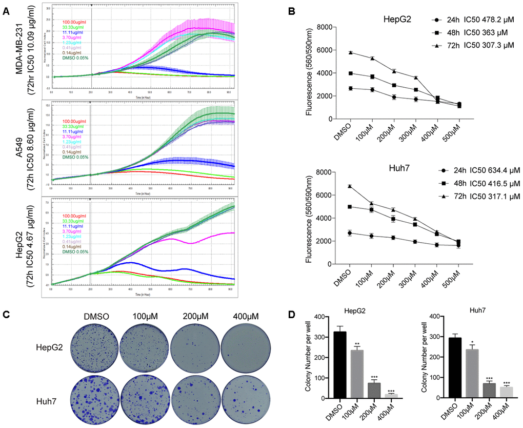 ISO inhibits HCC cell growth. (A) RTCA of proliferation of HCC cells treated with different concentration of CCE. (B) CellTiter-Blue viability assay results from HepG2 and Huh7 cells treated with 100-500 μM ISO or 0.2% dimethyl sulfoxide (DMSO; vehicle) for 24, 48, and 72 h. (C) Representative images of HepG2 and Huh7 cell colonies. Cells were treated with ISO and allowed to grow for 2 weeks before quantification of cell colonies stained with crystal violet. (D) Quantification of crystal violet-stained cell colonies. Values represent mean ± SD; *p 