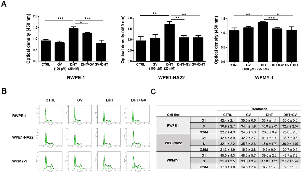 Anti-proliferative effects of GV1001 on prostatic epithelial and stromal cells. (A) Prostatic epithelial cell lines, RWPE-1, WPE1-NA22, and stromal cell line WPMY-1 were treated with dihydrotestosterone (DHT, 25 nM) or GV1001 (GV, 100 μM). Cells were exposed to GV1001 1 h before DHT treatment (GV + DHT) or co-treated with both DHT and GV1001 (DHT + GV). After 48 h, proliferation was accessed in a CCK-8 assay (n=5). ***pB, C) RWPE-1, WPE1-NA22, and WPMY-1 cells were co-treated with DHT (25 nM) and GV1001 (100 μM) for 48 h and cell cycle analyzed by flow cytometry after PI staining. Data are presented in a histogram (B) and a table (C). * = Significantly different from the control (p§ = Significantly different from the DHT group (p