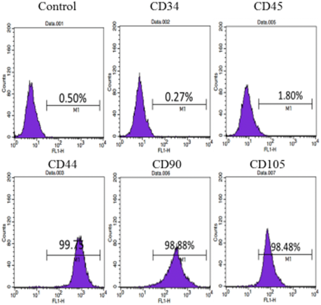 Cell surface marker identification of hUC-MSCs: Cellular immunophenotype detected by flow cytometry. The results show that the cells express CD44, CD90 and CD105 positively, and CD34 and CD45 negatively. n=3.