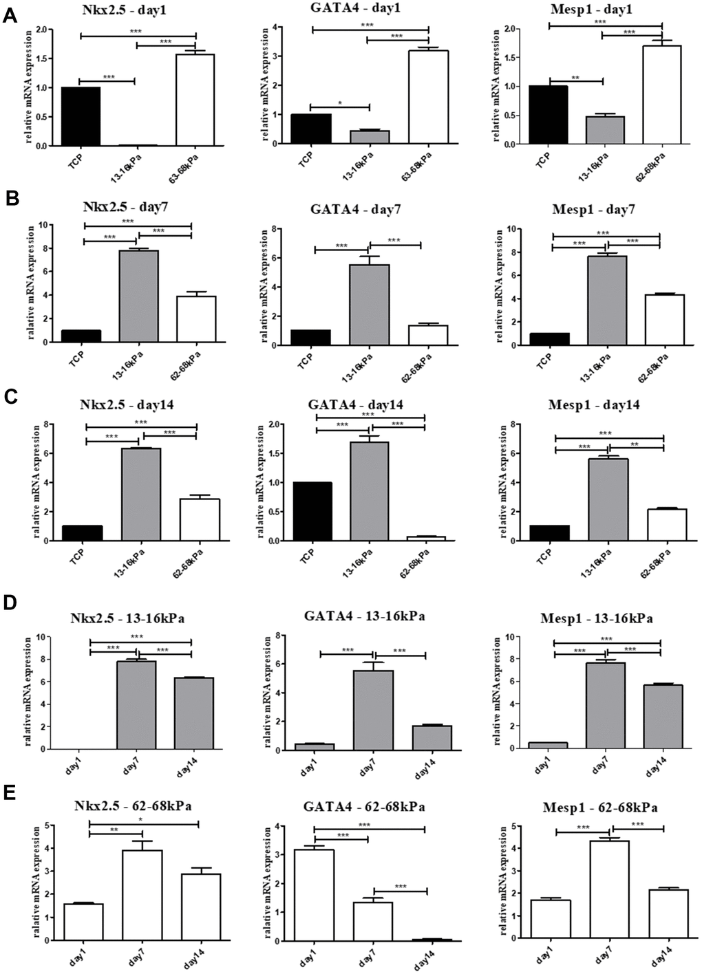 Expression of early myocardial markers on mRNA level. (A–C) The relative mRNA expression of early myocardial markers Nkx2.5, GATA4 and Mesp1 on different matrix of 13-16 kPa, 62-68 kPa and control group at the same time point, the 1st day, the 7th day and the 14th day. On the 7th day and the 14th day, the expression on the 13-16 kPa matrix was highest among the three groups. (D, E) The expression tendency of the three early myocardial markers on the same stiffness changed with time. The highest expression of Nkx2 and Mesp1 on 62-68 kPa and 13-16 kPa emerged on the 7th day, while the expression of GATA4 decreased gradually over time. *P