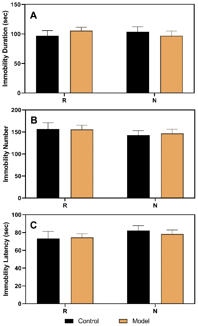 Results of the forced swimming test after ovariectomy. (A) Results of immobility duration. (B) Results of immobility number. (C) Results of immobility latency. N, the test in the non-receptive phase; R, the test in the receptive phase (n=8 in the control group and n=16 in the model group; two-way ANOVA followed by post-hoc Sidak’s multiple comparisons test).