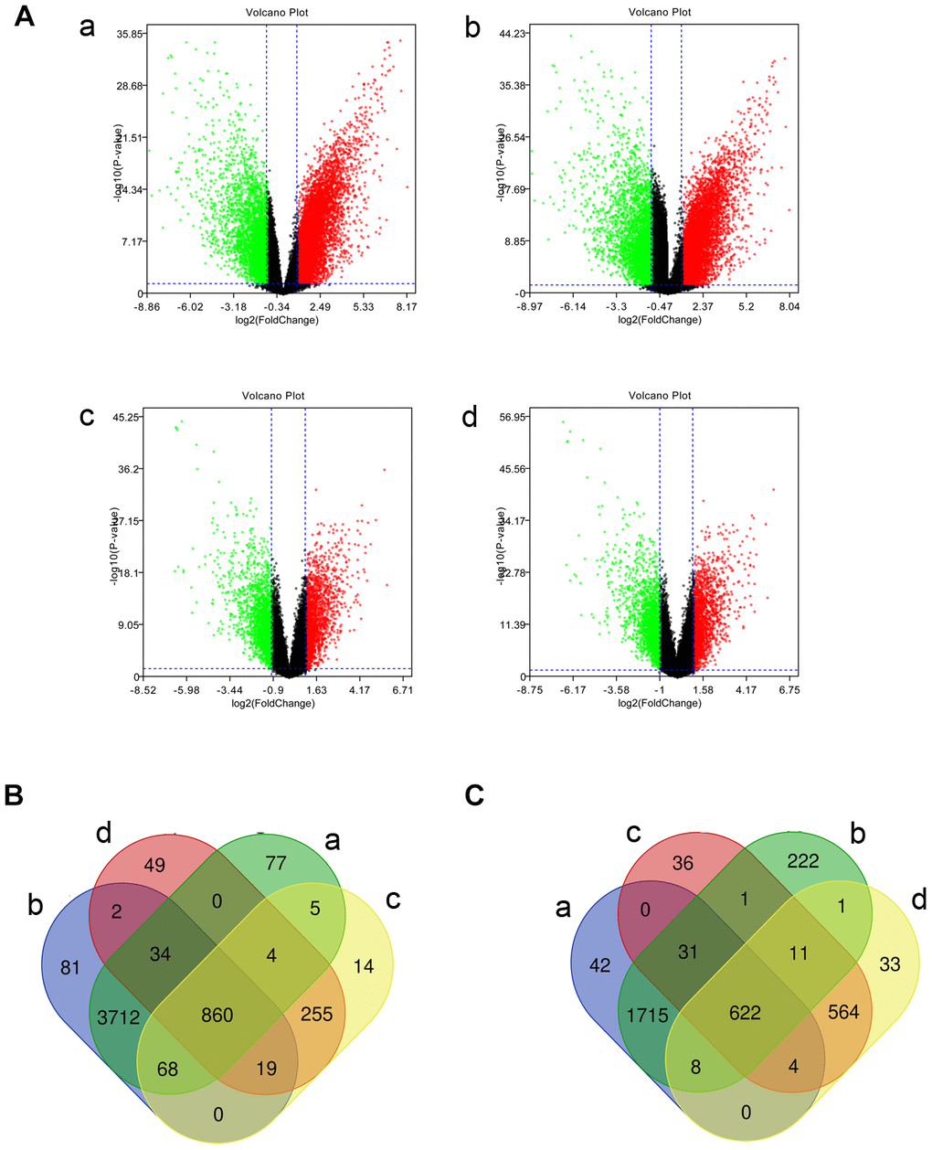 Identified differentially expressed mRNAs (DE-mRNAs) among triple-negative breast cancer (TNBC) tissues, tissues of other types of breast cancer, and normal samples in two Gene Expression Omnibus data sets. (A) The volcano plots of DE-mRNAs in the GSE45827 and GSE65194 data sets. The x-axis stands for log2 (fold change) of gene expression, and y-axis represents log-transformed P value. The red dots and green dots indicate the significantly overexpressed and underexpressed genes, respectively. The black dots indicate genes with no significant differential expression. |log2FC| > 1 and P value B) The intersection of upregulated DE-mRNAs. (C) The intersection of downregulated DE-mRNAs. a: TNBC compared with normal samples in GSE45827; b: TNBC compared with normal samples in GSE65194; c: TNBC compared with tissues of other subtypes of breast cancer in GSE45827; d: TNBC compared with tissues of other subtypes of breast cancer in GSE65194.