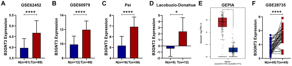 Multiple databases demonstrated that B3GNT3 was overexpressed in PC. (A–B) B3GNT3 expression in GSE62452 and GSE60979 datasets. (C–D) B3GNT3 expression in the Oncomine database. (E) B3GNT3 expression in GEPIA database. (F) B3GNT3 expression in GSE28735 dataset. PC, pancreatic cancer; N: normal; T: tumor; GEPIA: Gene Expression Profiling Interactive Analysis. (*P value 