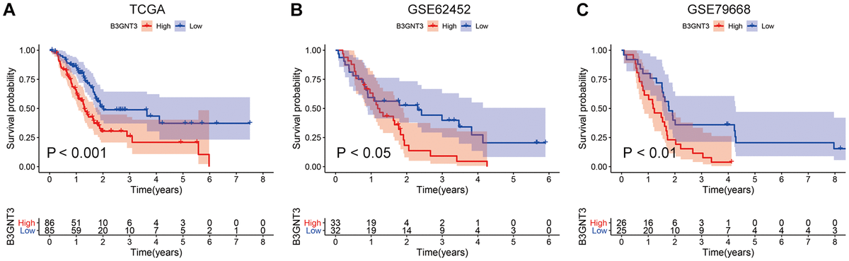 KM survival analysis for B3GNT3 through the TCGA, GSE62425, and GSE79668 datasets. (A–C) High expression of B3GNT3 was significantly associated with poor survival in PC (P value 