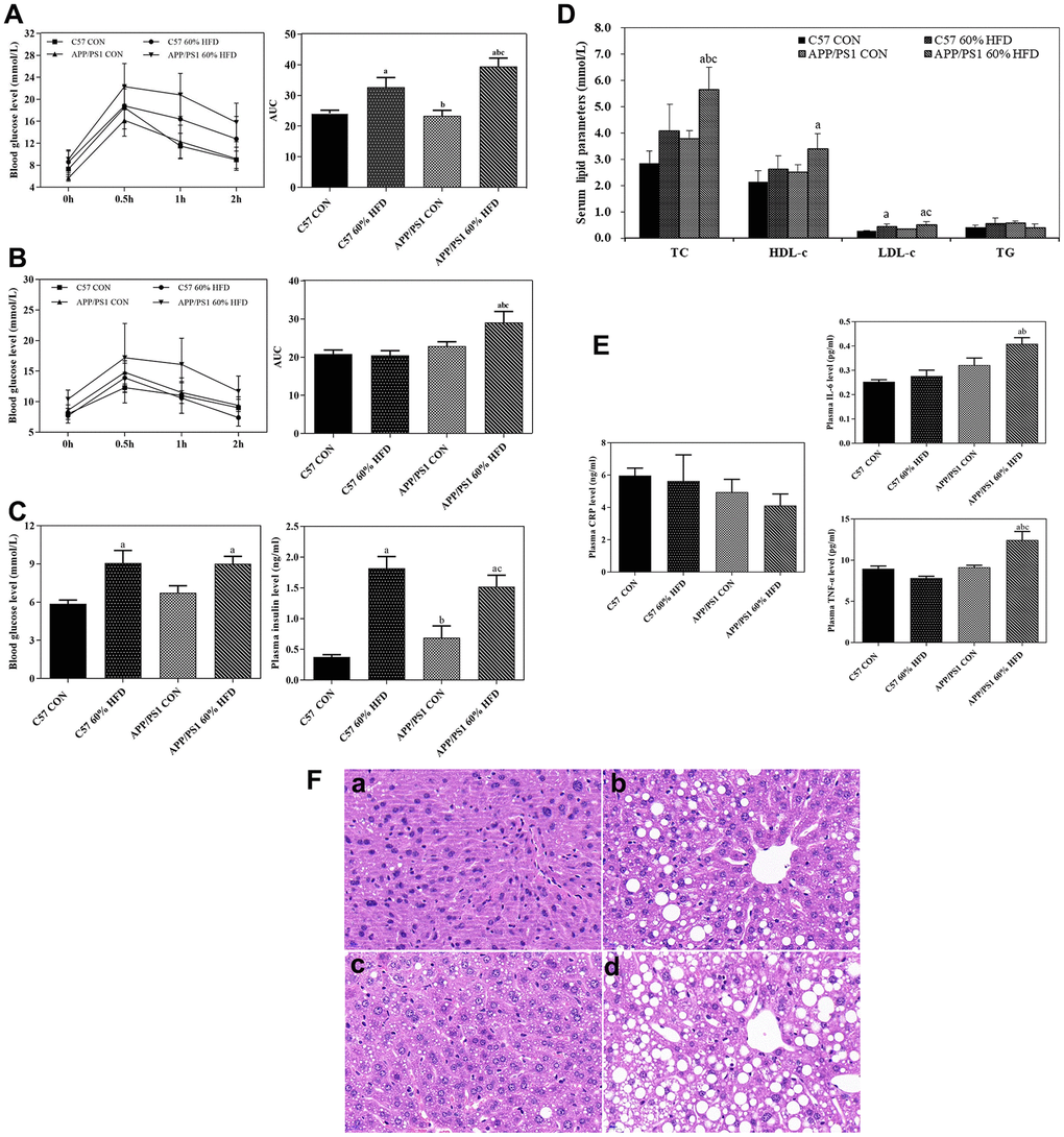 Glucose tolerance, serum parameter levels and liver histological changes in C57 WT and APP/PS1 mice treated with different diets. Glucose tolerance test was performed after HFD intervention for 3 (A) or 6.5 months (B) respectively. Fasting blood glucose, insulin levels (C), serum lipid parameters levels (D) and inflammatory factor levels (E) were measured at the end of experiment. Values presented as the mean ± SE, n = 10 for each group. a: comparing with C57 CON group, P P P F) were detected by using HE staining method. (a) control diet-treated C57 WT mice; (b) 60% HFD-treated C57 WT mice; (c) control diet-treated APP/PS1 mice; (d) 60% HFD-treated APP/PS1 mice. Scale bar: 20μm.