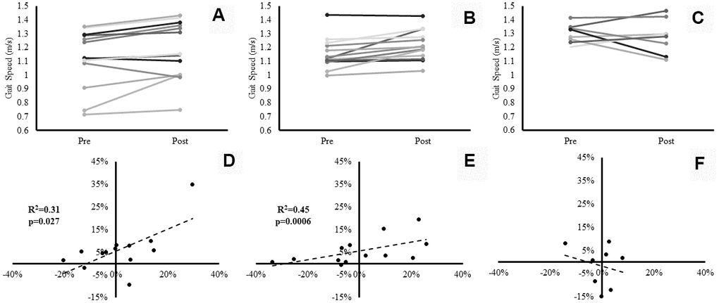 Individual participants’ changes in gait speed from baseline to post-intervention. Panels (A–C) represent individual changes for the SBF, LIPA, and control groups respectively. Panels (D–F) represent the associations between the relative changes in VL Volume (X axis), and the relative changes in gait speed (Y axis) for the SBF, LIPA, and control groups respectively.