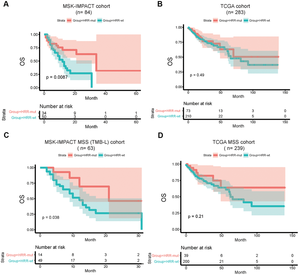 HRR-mut status is associated with a favorable therapeutic response to ICIs. Kaplan–Meier survival curves showing the OS times of patients stratified by HRR-mut/wt status in the MSK-IMPACT (A) and TCGA (B) cohorts. Kaplan–Meier survival curves showing the OS times of patients stratified by HRR-mut/wt status in the MSK-IMPACT MSS (TMB-L) (C) and TCGA MSS (D) cohorts. P values were calculated with the log-rank test.