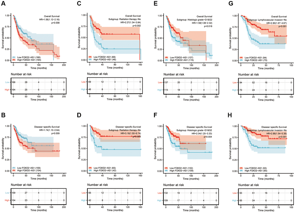 Prognostic value of FOXD2-AS1 in OSCC. (A, B) Kaplan-Meier curves of OS and DSS with different expression level of FOXD2-AS1. (C, D) Kaplan-Meier curves of OS and DSS with different expression level of FOXD2-AS1 in non-radiation therapy group. (E, F) Kaplan-Meier curves of OS and DSS with different expression level of FOXD2-AS1 in histologic grade I and grade II group. (G, H) Kaplan-Meier curves of OS and DSS with different expression level of FOXD2-AS1 in non-lymphovascular invasion group.
