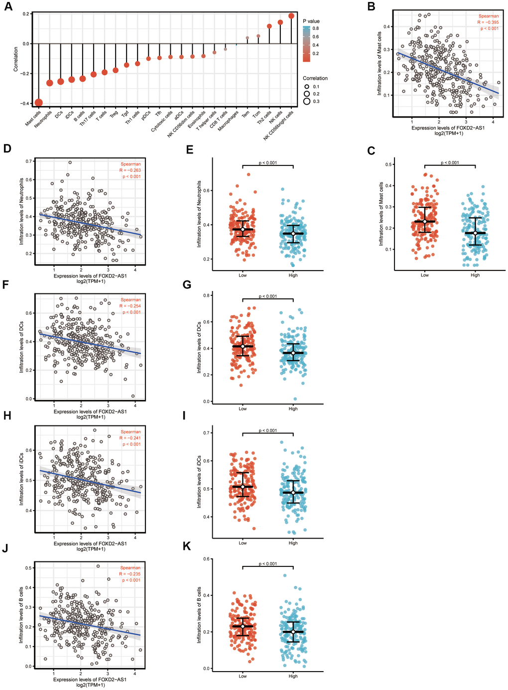 The expression level of FOXD2-AS1 was associated with the immune infiltration in tumor environment. (A) The plots showed the correlation between FOXD2-AS1 expression and immune cells subsets. (B) Spearman correlation between expression of FOXD2-AS1 and mast cells. (C)The plots of mast cells expression in low and high FOXD2-AS1 samples. (D–K) Spearman correlation and expression distribution of Neutrophils, DC cells, iDC cells and B cells in low and high FOXD2-AS1 samples.