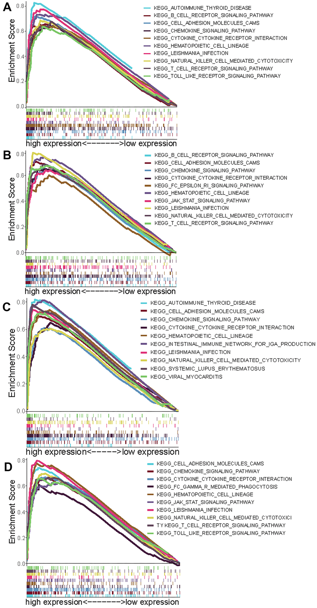 Select GSEA plots of signatures for the four genes. (A) Enriched gene sets in KEGG collection by high expression of CCR2 (A), CCR4 (B), P2RY12 (C), and P2RY13 (D). Each line with a unique color represents one particular gene set. The upregulated genes are located on the left of the x-axis, and the downregulated genes are on the right. Only the gene sets with FDR q p p 