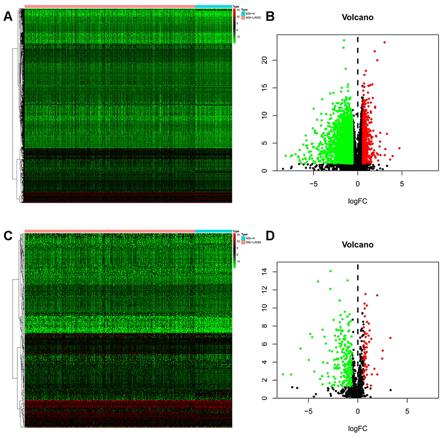 Differentially expressed immune-related genes (IRGs). (A, B) Heatmap and volcano plot of the upregulated (red) and downregulated (green) genes between the MSI-L/MSS and MSI-H samples of gastric cancer. (C, D) Profiling data of the IRGs are shown in heatmap and volcano plot, red dots represent upregulated and green dots represent downregulated. (MSI-H, microsatellite instability-high status; MSI-L, microsatellite instability-low status; MSS, microsatellite stable).