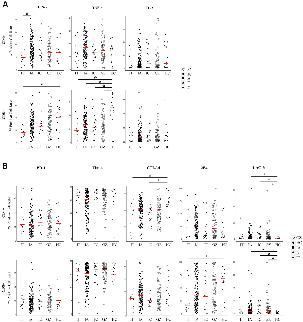 Expression of three pairs of antiviral cytokines and five pairs of inhibitory molecules by CD4+ and CD8+ T cells from naïve CHB patients. (A) Expression of antiviral cytokines IFN-γ, TNF-α, and IL-2 by CD4+ and CD8+ T cells derived from the indicated patient groups. The levels were compared among patients in the IT, IA, GZ, IC phases and healthy controls. (B) Expression of inhibitory molecules PD-1, Tim-3, LAG-3, CTLA4, and 2B4 were measured on CD4+ and CD8+ T cells derived from the indicated patient groups. The levels were compared among patients in the IT, IA, GZ, IC phases and healthy controls. Differences between multiple groups were evaluated by the Wilcoxon rank sum test. Data is presented as the median (indicated by a red line). *P 