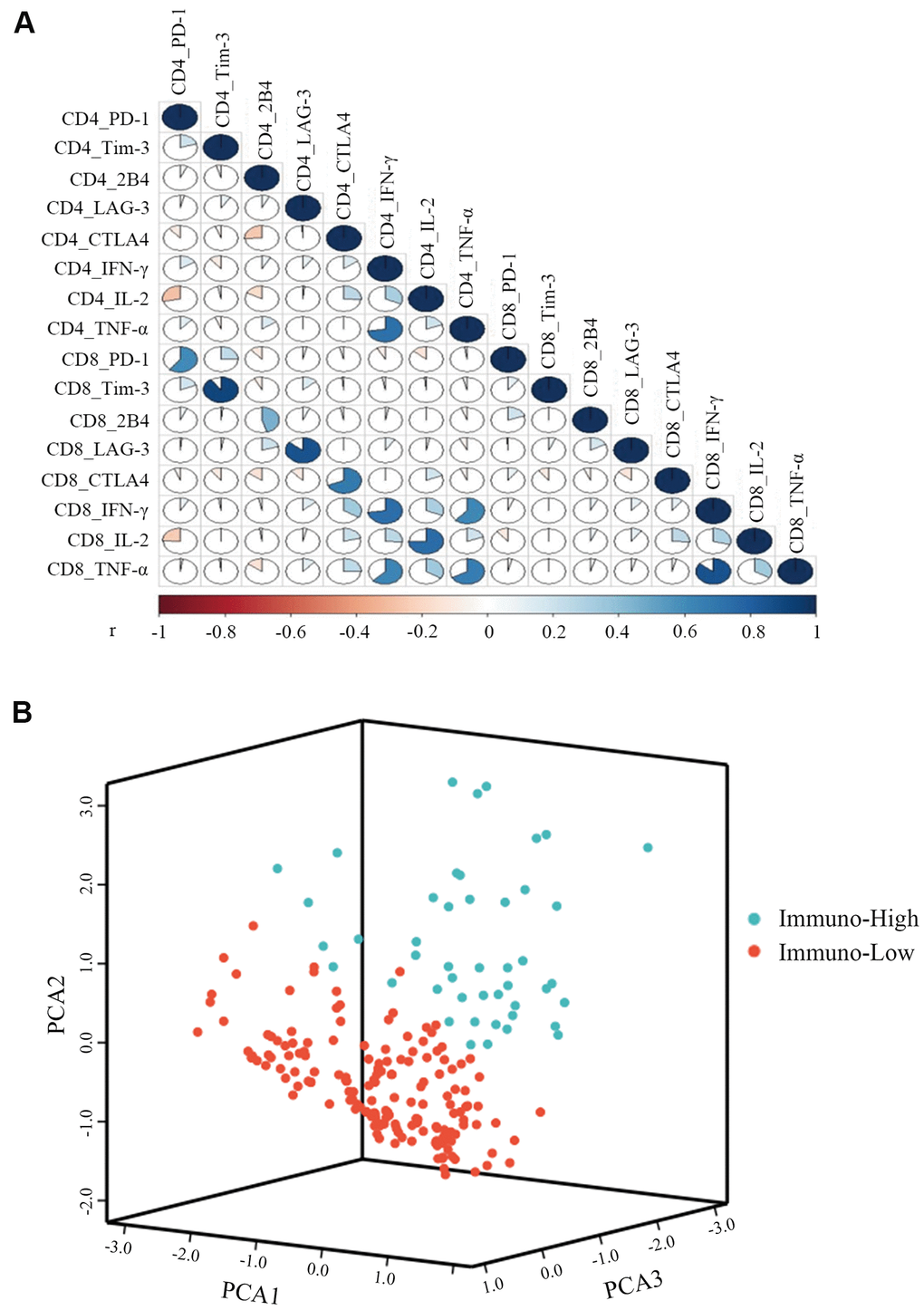 K-means cluster of CHB patients with three pairs of antiviral cytokines (IFN-γ, TNF-α, and IL-2) and five pairs of inhibitory molecules (PD-1, Tim-3, LAG-3, CTLA4, and 2B4) produced by CD4+ and CD8+ T cells. (A) Correlations among the three pairs of antiviral cytokines and five pairs of inhibitory molecules produced by CD4+ and CD8+ T cells were measured by the Spearman correlation. PB) Representative image of CHB patient clustering with three pairs of antiviral cytokines and five pairs of inhibitory molecules simultaneously produced by CD4+ and CD8+ T cells. The green balls represent patients of immuno-high (expressing high levels of antiviral cytokines and low levels of inhibitory molecules), and the red balls represent patients of immuno-low (expressing low levels of antiviral cytokines and high levels of inhibitory molecules), respectively. All of the 229 patients were divided into these two groups.