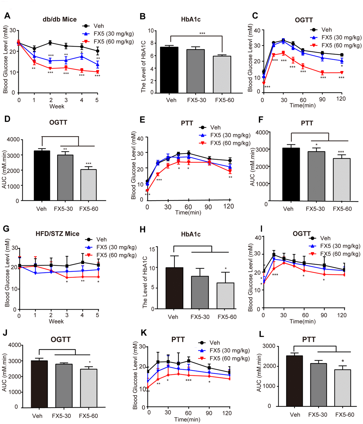 FX5 treatment improved glucose homeostasis in db/db and HFD/STZ-induced T2DM mice. (A) db/db mice were divided into three groups (n=10/group), and treated with vehicle (Veh), FX5 (30 mg/kg) or FX5 (60 mg/kg) once per day for 5 weeks. Plasma glucose concentration after 6 h fasting was measured weekly. (B) After 5-week administration, HbA1c level of db/db mice in three groups was detected. (C) OGTT result and (D) AUC result of OGTT in db/db mice. (E) PTT result and (F) AUC result of PTT in db/db mice. (G) HFD/STZ-induced T2DM mice were divided into three groups (n≥7/group) and treated with vehicle (Veh), FX5 (30 mg/kg) or FX5 (60 mg/kg) for 5 weeks. Plasma glucose concentration after 6 h fasting was measured weekly. (H) After 5-week administration, HbA1c level of HFD/STZ mice in three groups was detected. (I) OGTT result and (J) AUC result of OGTT in HFD/STZ-induced T2DM mice. (K) PTT result and (L) AUC result of PTT in HFD/STZ-induced T2DM mice. In all line graphs, black for vehicle (Veh), blue for FX5 (30 mg/kg) and red for FX5 (60 mg/kg). Values were shown as mean± S.E.M (*PPP