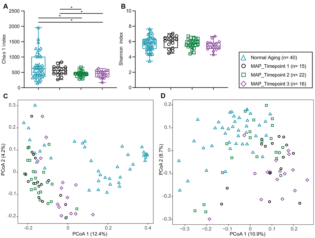 Alpha and beta diversity of Normal Aging and MAP groups. (A) Chao 1’s, (B) Shannon’s alpha diversity indexes comparing Normal Aging and three time points of MAP groups. p* values of Mann-Whitney U test described significant difference from each other at two-sided p values of 0.05. In each box plot, median line, + mean, upper and lower quartiles, upper and lower extremes and whiskers are presented. (C) Weighted (D) Unweighted Unifrac principal coordinates analysis (PCoA) for beta diversity comparing Normal Aging and three time points of MAP groups. The groups of the subjects are represented by four different color-coded symbols with sample size in parenthesis in the legend. MAP= Mindful Awareness Program.