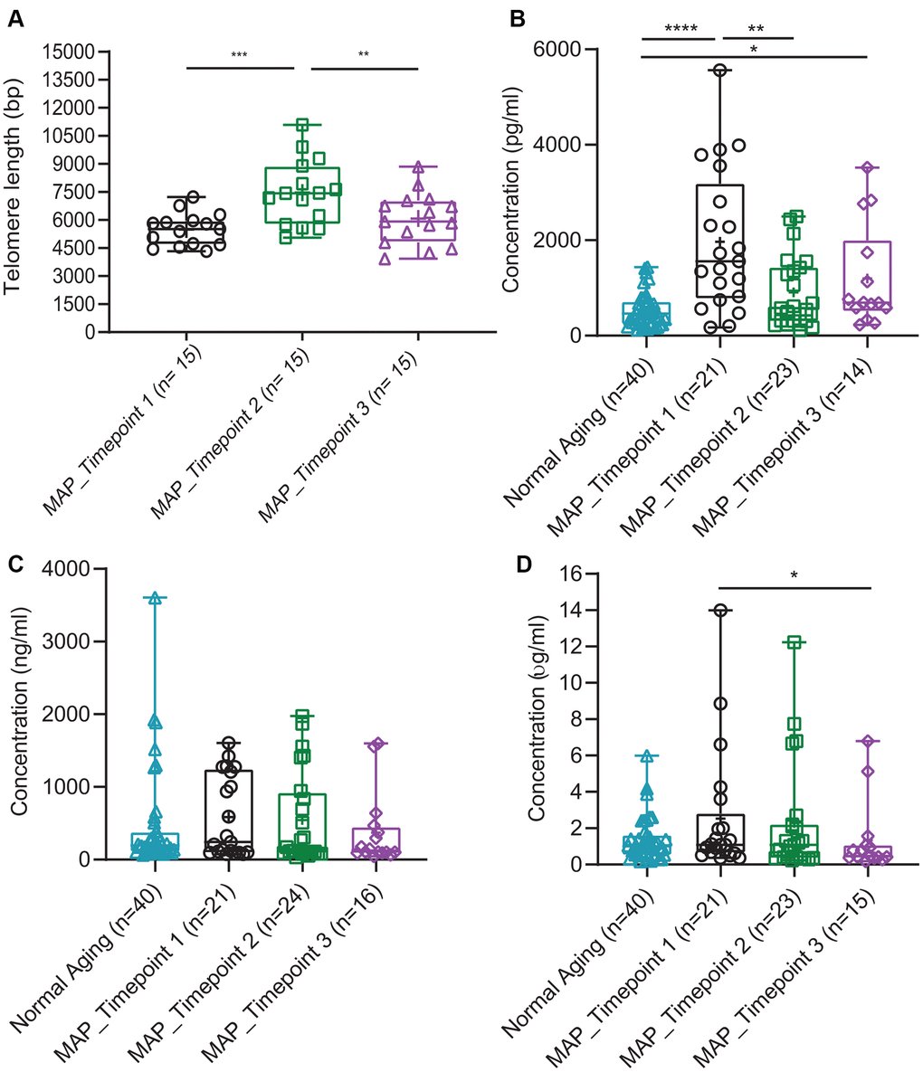 Comparison of four blood biomarkers in Normal Aging and MAP groups. (A) Mean of telomere length over time in the MAP intervention study. P values were calculated by Wilcoxon matched-pairs signed-rank t test comparing the two groups. The samples of Normal Aging were not measured for telomere length. (B) Concentrations of BDNF (pg/ml), (C) DHEAS (ng/ml) and (D) hs-CRP (μg/ml) comparing Normal Aging and three timepoints of MAP groups. Significant different two-tailed p values of Mann-Whitney U test are presented as **** p 