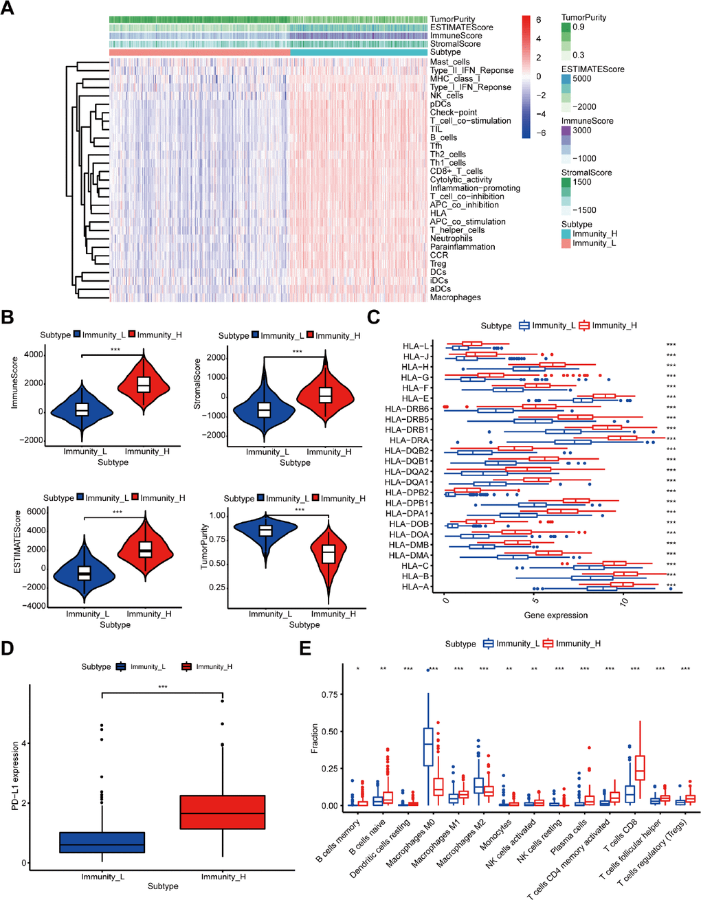 Construction and verification of immune-related groups in melanoma samples. (A) The high and low immune cell infiltration groups (Immunity