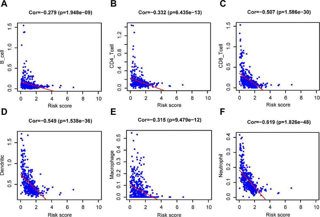 Relationship between the prognostic signature and the TIICs subtypes. Association between risk score and six subtypes of TIICs: (A) B cells. (B) CD4+ T cell. (C) CD8+ T cell. (D) Dendritic cells. (E) Macrophage. (F) Neutrophil.