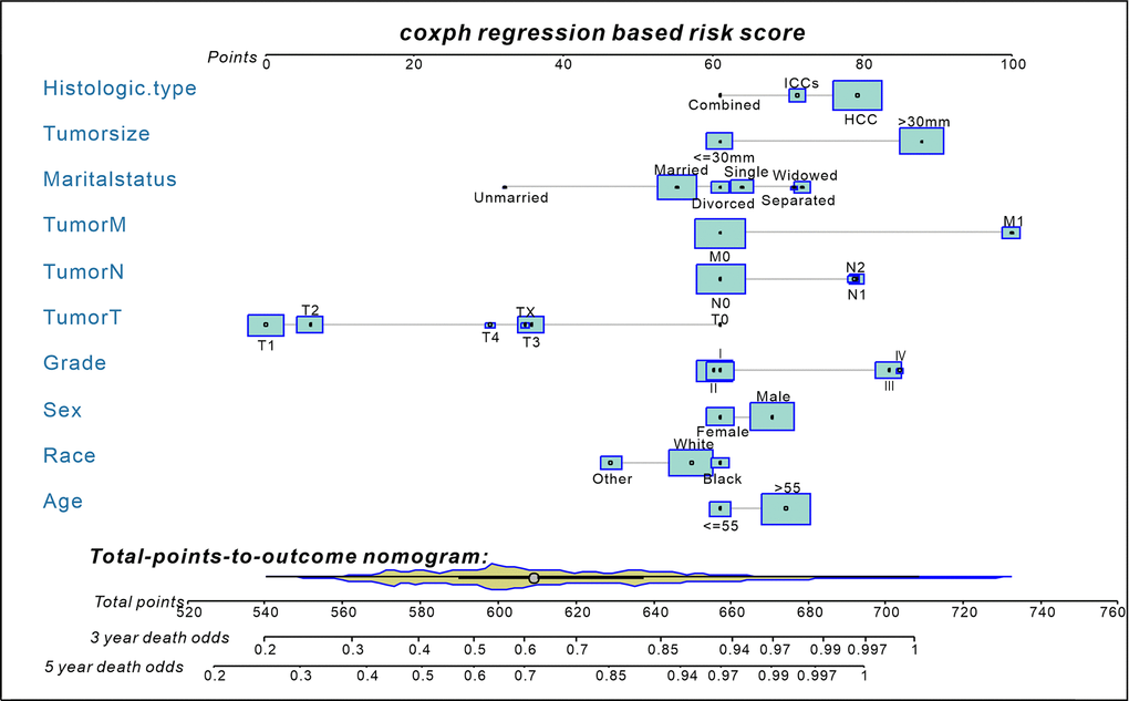 A nomogram for predict 3- and 5-year death odds of non-surgical liver cancer patients (established by Cox regression model). The yellow Violin Plot and the light blue box display the distribution of patients in the primary cohort. The size of the light blue box represents the proportion of patients. Abbreviations: HCC, hepatocellular carcinoma; ICCs, intrahepatic cholangiocarcinomas; Combined=HCC+ICCs.