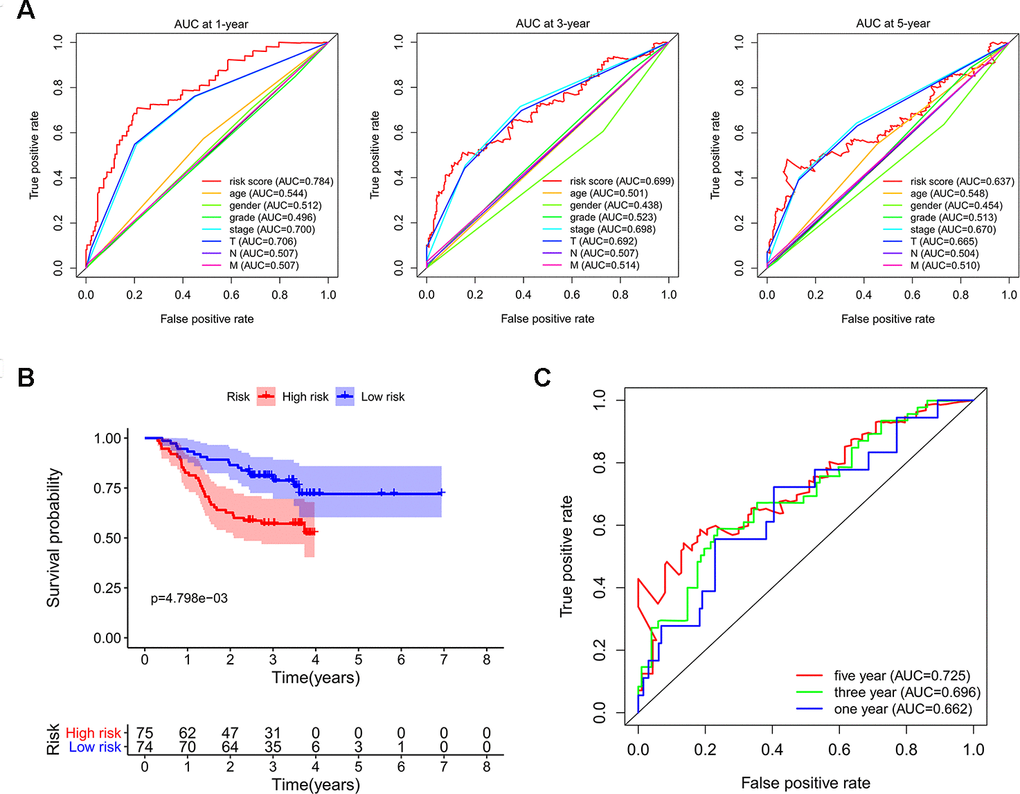 Validating the reliability of this risk score model. (A) Time-dependent ROC curves for estimating OS based on risk scores and clinical indicators in the TCGA-LIHC cohort. (B) Kaplan–Meier survival curve of CPTAC-LIHC patients. (C) Time-dependent ROC curves for estimating OS based on risk scores in the CPTAC-LIHC cohort.