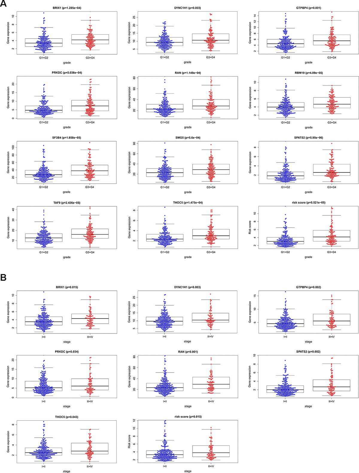 The relevance between 11 prognostic RBPs and clinicopathologic features. (A) The relationship between 11 prognostic RBPs and tumor grade. (B) The relationship between 11 prognostic RBPs and TNM stage.