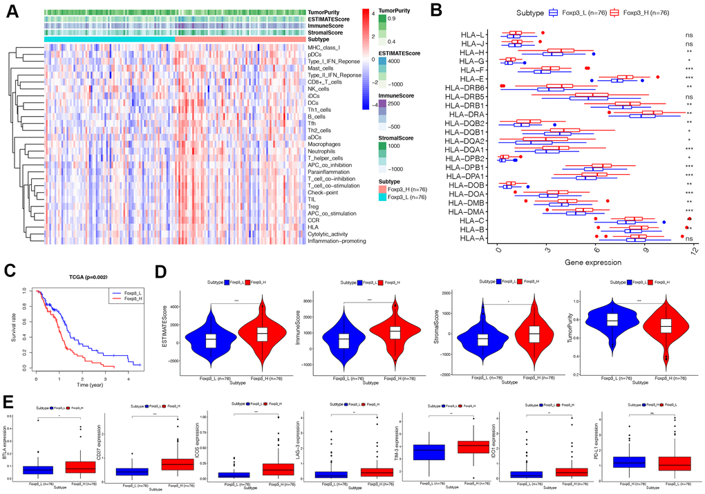 Immunogenomic analyses of Foxp3
