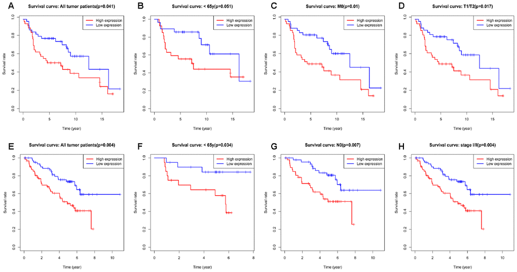 Kaplan-Meier curve for overall survival in lung adenocarcinoma in the validation datasets GSE30219 (A–D) and GSE50081 (E–H).