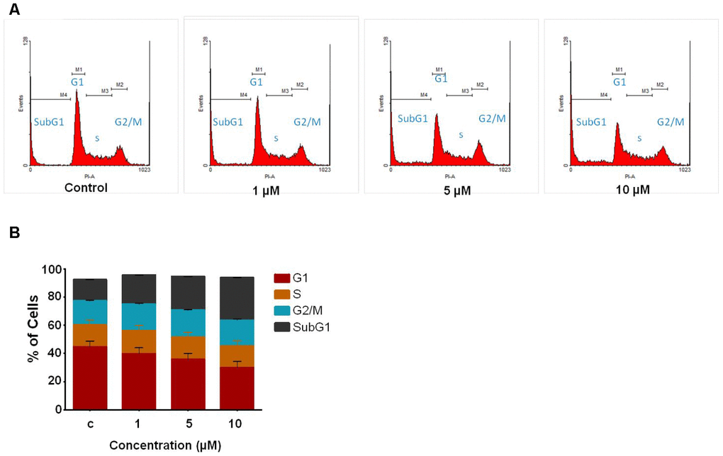 Study of cell cycle analysis of Jurkat cells following C02 compound treatment. (A) Jurkat cells treated with C02 compound (1, 5 and 10 μM) for 48 h, harvested and stained with propidium iodide and subjected to flow cytometry. (B) Histograms obtained after FACS analysis of C02 treated Jurkat cells.