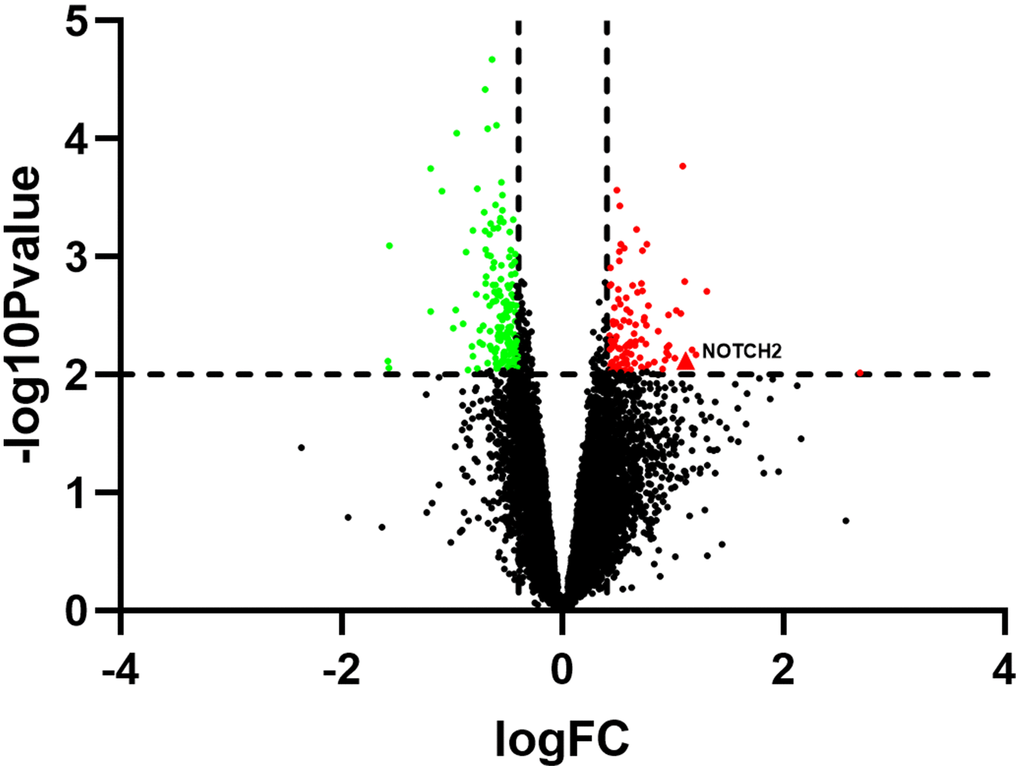 Volcano plot showing differentially expressed genes in SSc patients compared to healthy controls (n=30 per group) in the GSE145120 dataset.