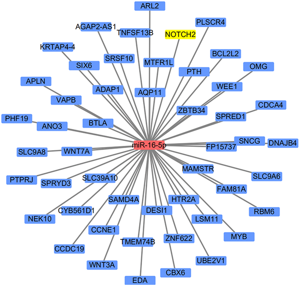 Schematic diagram of the miRNA target prediction strategy.