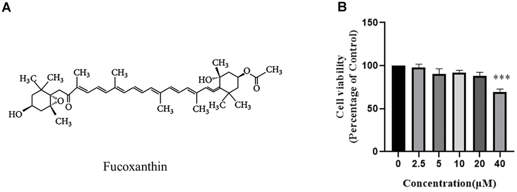 Effect of Fucoxanthin on RAW264.7 cell viability. (A) Chemical structure of Fucoxanthin. (B) The cells were stimulated with the indicated concentrations of Fucoxanthin (0,2.5,5,10,20,40uM) for 24h, and cell viability was determined using the MTT assay. ***P 
