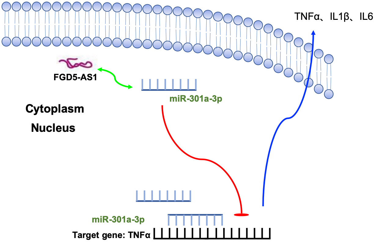 class="figure-viewer-img"