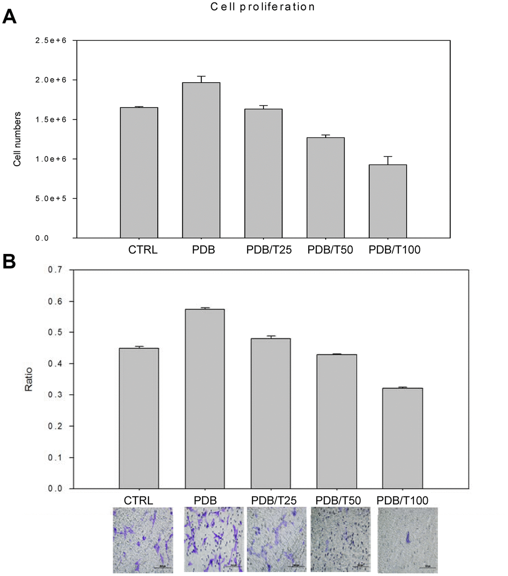 Optimization of concentration of inhibitor of TGF-β receptor I (Ti). The growth and migratory regulation through Ti dose-dependent (25-100nM) assay of (A) Cellular proliferation and (B) Transwell cell migration and its relative quantification revealed degenerative characteristics when compared to control; whereas, the PDB showed a stimulatory effect. The representative results of 3 experiments demonstrated mean ± SD.