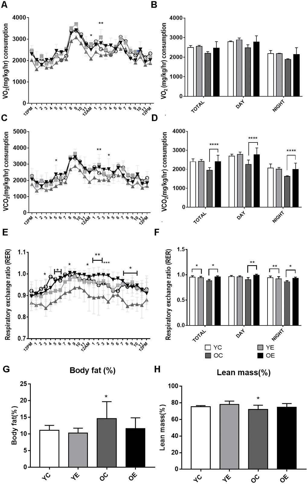 Analysis of energy metabolism during exercise in young and aged mice. (A–F) Metabolic measurements were performed in young control, young exercise, old control, and old exercise groups (n = 5, respectively) in CLAMS metabolic cages after 4-week of exercise. (A) Kinetic data for VO2 (mg/kg/hr) consumption are shown as mean for each time point in young control (YC; blue circles), young exercise (YE; red rectangles), old control (OC; green triangles) and old exercise (OE, purple reversed triangles) groups. (B) Average VO2 (mg/kg/hr) are shown for total, night (dark) and day (light) cycles. (C) Kinetic data for VCO2 (mg/kg/hr) production are shown as mean for each time point in YC, YE, OC, and OE groups. (D) Average VCO2 (mg/kg/hr) production are shown for total, night (dark) and day (light) cycles. (E) Kinetic data for respiratory exchange ratio (RER) is shown as mean for each time point in YC, YE, OC, and OE groups. (F) Average RER are shown for total, night (dark) and day (light) cycles. (G–H) Average percent body fat (G) and lean mass (H) for YC, YE, OC, and OE were measured using Minispec LF-50. *p p p p 
