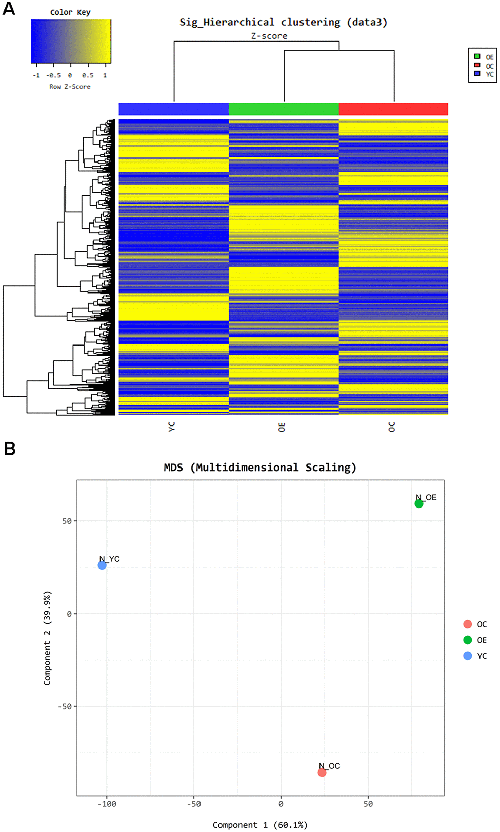 Exercise-induced altered gene expression in adipose tissue of aged mice. Gene ontology based- bioinformatic analysis (A) Heatmap represents grouping of genes through Hierarchical clustering (Euclidean Method, Complete Linkage) using the expression level (normalized value). (B) Panel shows the similarity between samples in two dimensions using the normalized signal of each sample.