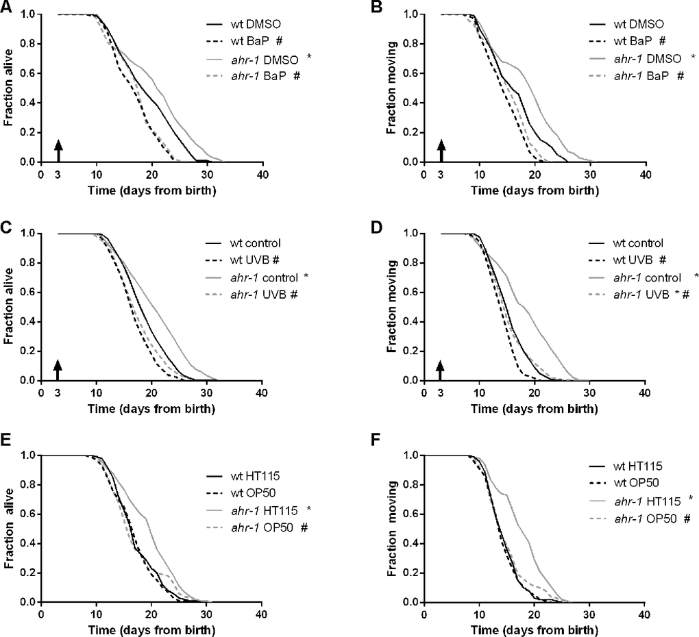 AHR-1 displays evolutionarily conserved functions and affects aging in a diet-dependent manner. (A, B) ahr-1 is more sensitive to xenobiotic stress. Pooled lifespan/healthspan curves of 120 worms/condition in 2 independent replicates treated with either DMSO or 5 μM BaP from adulthood are shown. (C, D) ahr-1 is more sensitive to UVB stress. Pooled lifespan/healthspan curves of 300 (wt control, ahr-1 control), 180 (wt UVB) and 178 (ahr-1 UVB) worms/condition in 3 independent replicates either left untreated or treated with 1200 J/m² UVB from adulthood are shown. (E, F) AHR-1 affects aging in a diet-dependent manner. Pooled lifespan/healthspan curves of 170 (wt OP50) and 180 (all other conditions) worms/condition in 3 independent replicates grown either on HT115 or OP50 are shown. (A–F) Statistical test: Log-Rank test, # significance vs. control/HT115, * significance vs. wt, p-value 