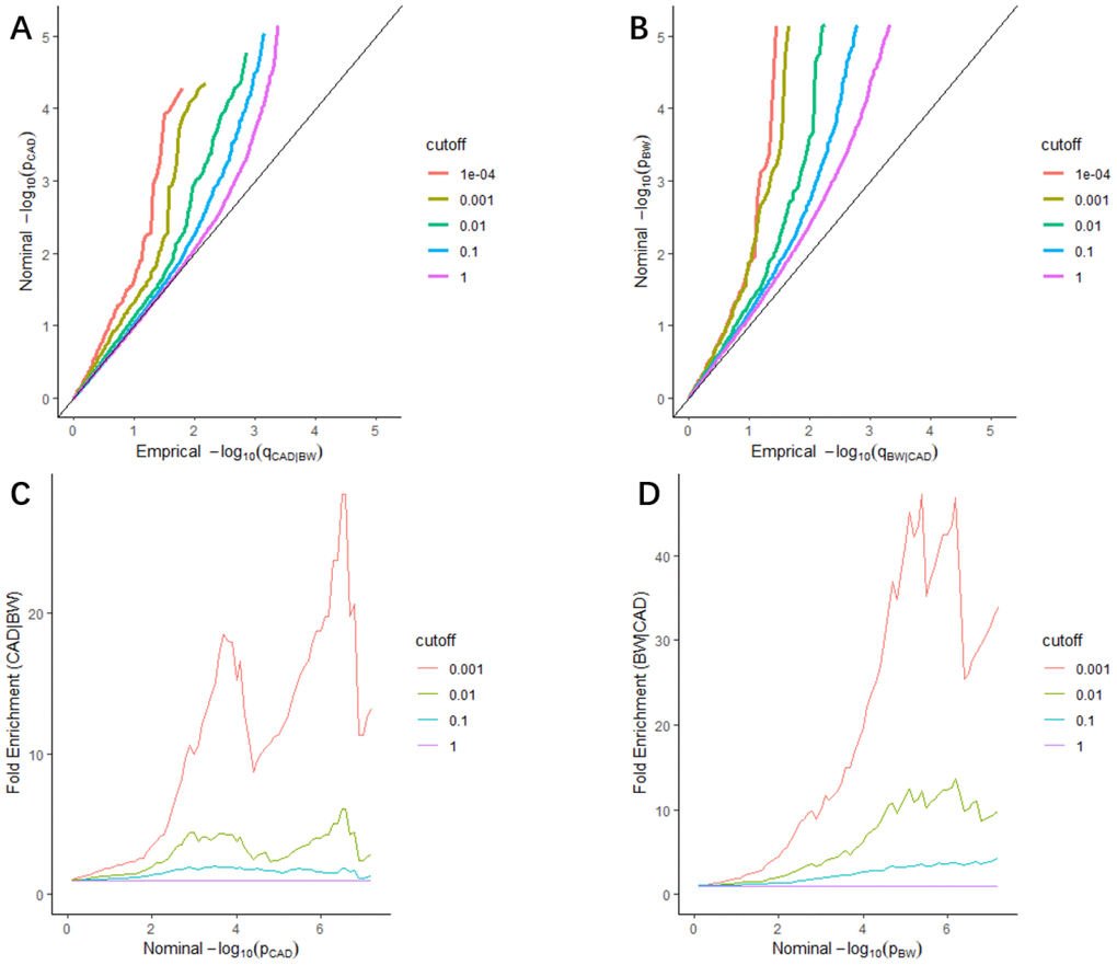 Stratified Q-Q plots and fold-enrichment plots. Stratified Q-Q plots of nominal vs. empirical -log10(p) values in principal trait below the standard GWAS threshold of p ≤ 5 × 10−8 as a function of the significance of the association with conditional trait at the level of p ≤ 1, p ≤ 0.1, p ≤ 0.01, p ≤ 0.001, and p ≤ 0.0001, respectively. (A) CAD as a function of the significance of the association with BW, and (B) BW as a function of the significance of the association with CAD. Fold-enrichment plots of enrichment vs nominal -log10(p) values (corrected for inflation) corresponding to levels of p ≤ 1, p ≤ 0.1, p ≤ 0.01, ≤ 0.001, respectively in (C) CAD below the standard GWAS threshold of p ≤ 5 × 10−8 as a function of significance of the association with BW; and in (D) BW below the standard GWAS threshold of p ≤ 5 × 10−8 as a function of significance with CAD. Dashed lines indicate the null-hypothesis.