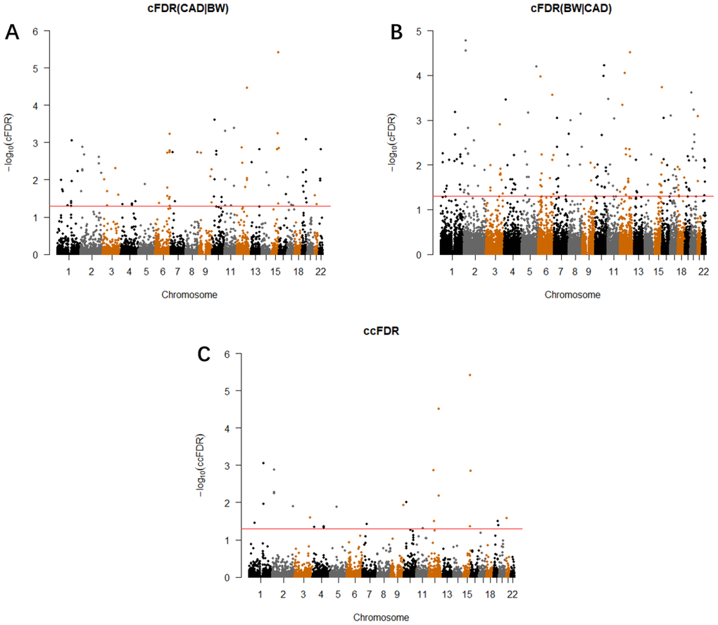 Conditional Manhattan plot. SNPs with -log10(cFDR) ≥ 1.3 (cFDR ≤ 0.05) for (A) CAD given BW (CAD|BW) and (B) BW given CAD (BW|CAD), or (C) -log10(ccFDR) ≥ 1.3 (ccFDR ≤ 0.05) are shown above the red line.
