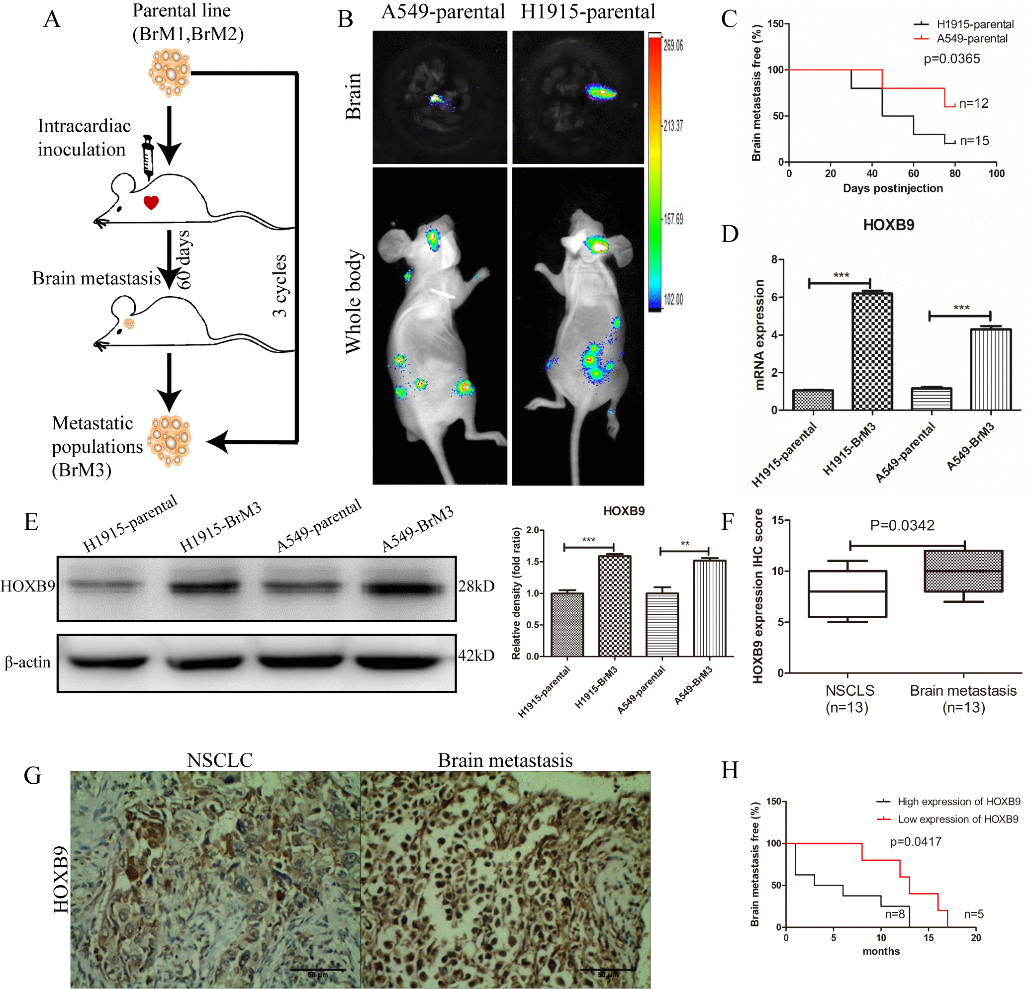 class="figure-viewer-img"