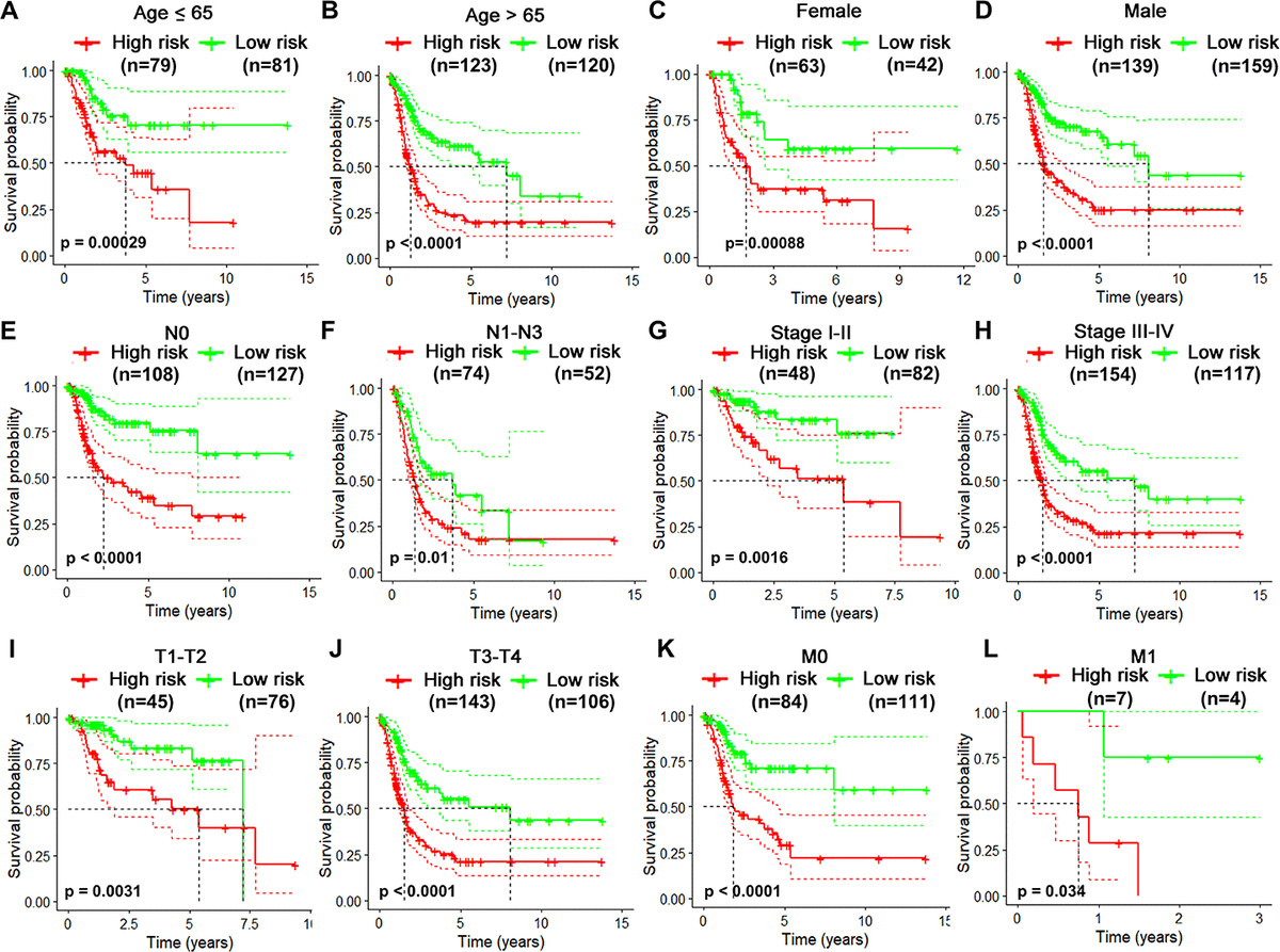 Risk-stratified analysis of the 10-gene signature for overall survival of bladder cancer patients. Kaplan-Meier curves for overall survival of patients in Age (≤65-year-old) subgroup (A), Age (>65-year-old) group (B), Female subgroup (C), Male subgroup (D), N0 subgroup (E), N1-N3 subgroup (F), clinical stage I-II subgroup (G), clinical stage III-IV subgroup (H), T1-2 subgroup (I), T3-4 subgroup (J), M0 subgroup (K), M1 subgroup (L).