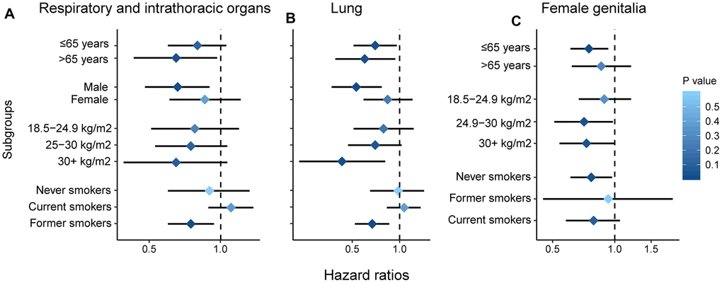 Subgroup analysis by age, gender, smoking and BMI. Respiratory and intrathoracic organs (A); lung (B); female genitalia (C).