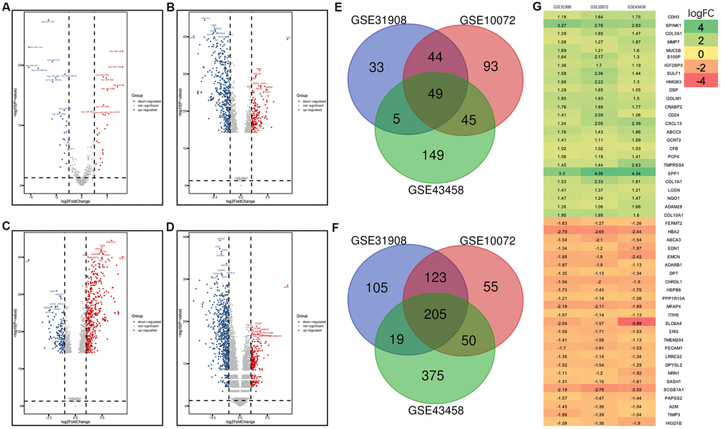 Volcano plot of gene expression profile data in LUAD and normal samples and the heatmap of the overlapping DEGs. (A) Volcano plot of GSE74190. (B) Volcano plot of GSE31908. (C) Volcano plot of GSE10072. (D) Volcano plot of GSE43458. (E) Venn diagram of the upregulated overlapping DEGs. (F) Venn diagram of the downregulated overlapping DEGs. (G) Heatmap of the overlapping DEGs. Green represents a low fold change (FC) value, and red represents a high fold change FC value. Each column represents one dataset, and each row represents one gene. The number in each rectangle represents the FC in LUAD samples compared with normal samples. The gradual color change from red to green represents the changing process from upregulation to downregulation.